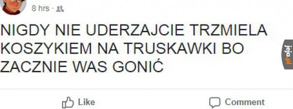 Przydatna rada, już miałem nawalać trzmiele koszykami