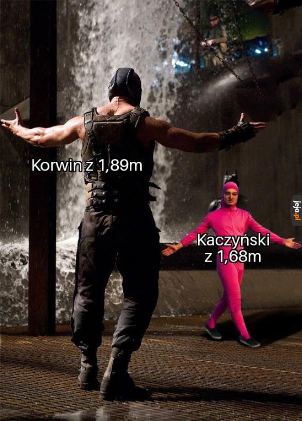 Korwin jeszcze rośnie od herbaty
