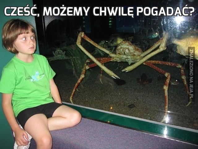 Cześć, możemy chwilę pogadać?