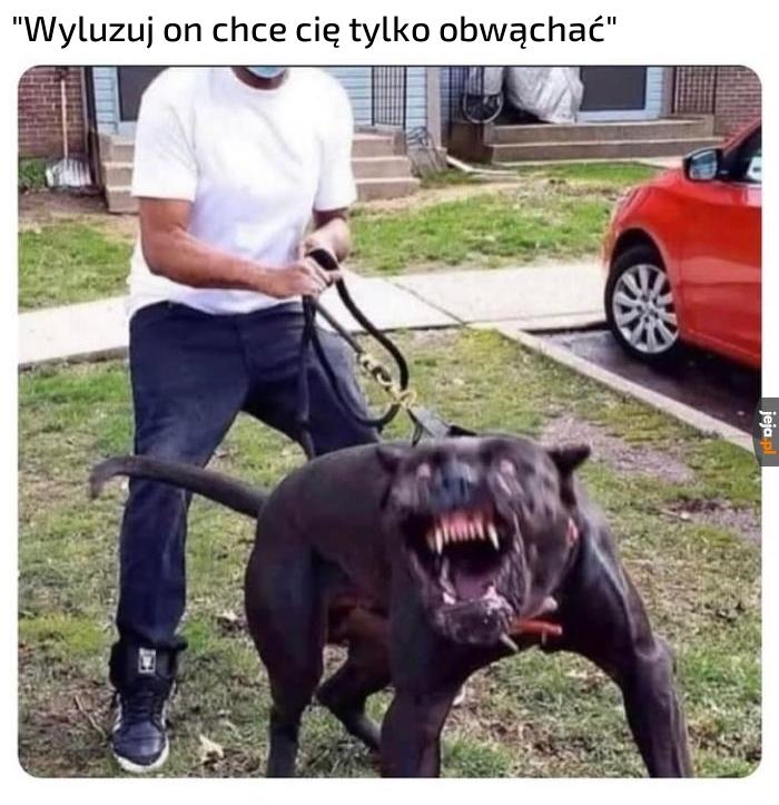 Tylko żadnych gwałtownych ruchów i umrzesz bezboleśnie