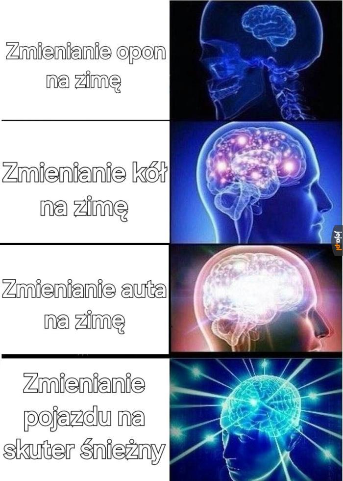 Wyższy poziom inteligencji