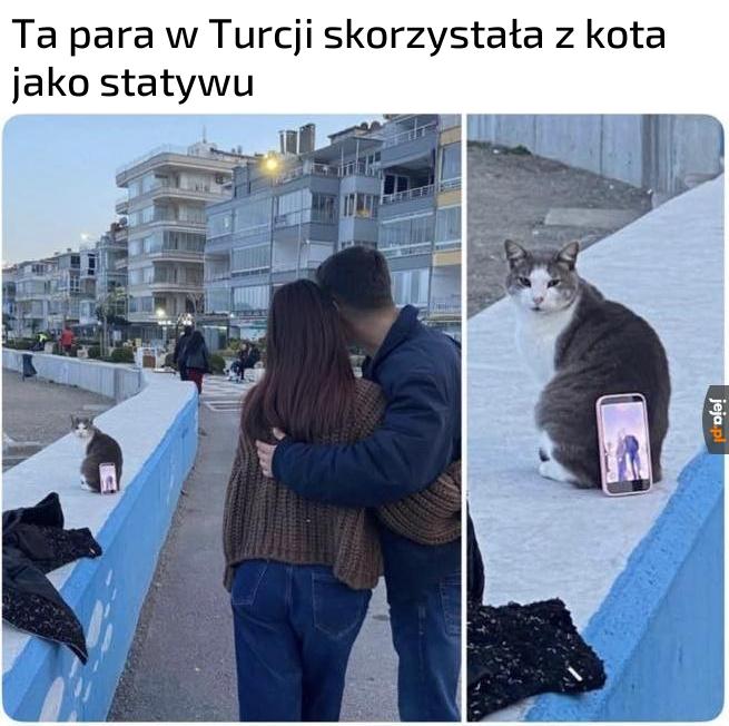 Miło ze strony kota, że pomógł