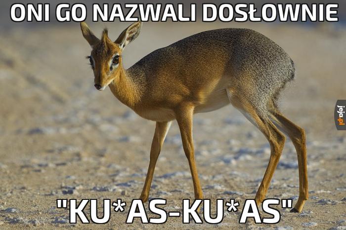 Czyżby polskie trolle? 