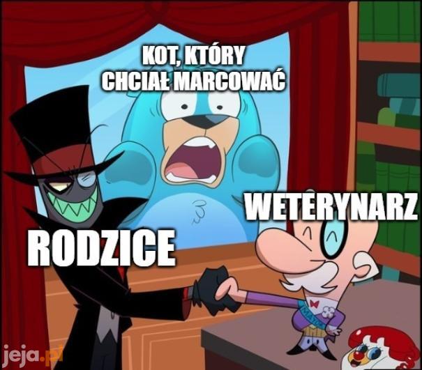 Szkoda mruczka, jego ród skończy się na nim