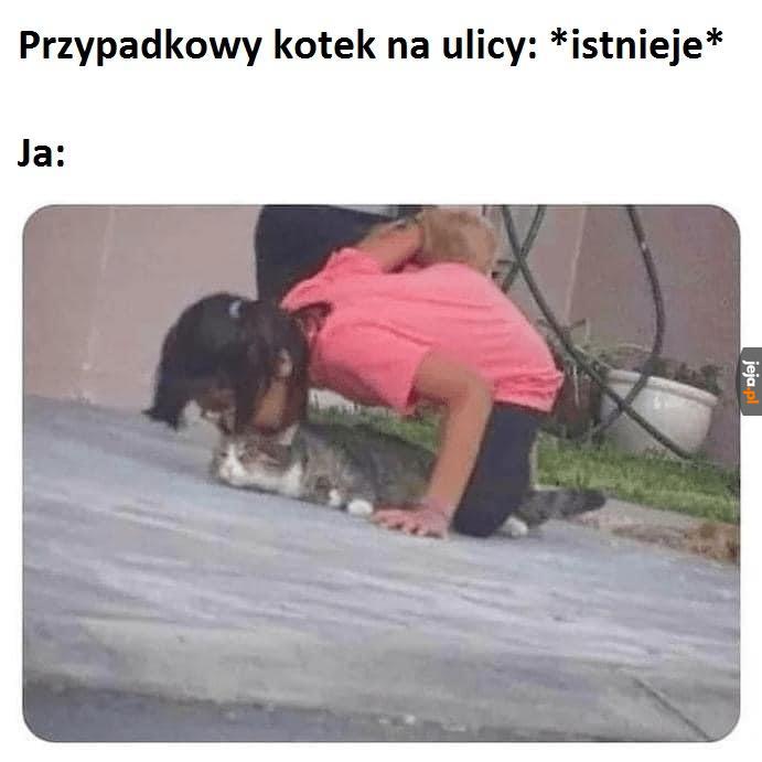 Za to mi płacą