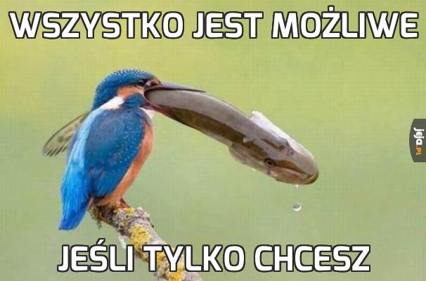 Wszystko jest możliwe