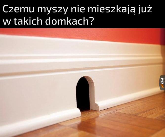 Dziwne