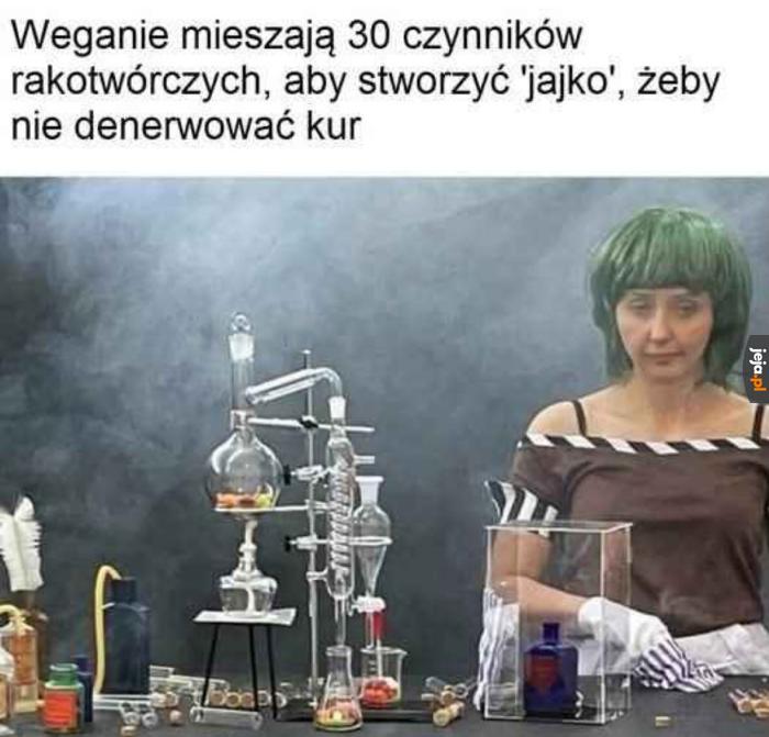 W zgodzie z naturą