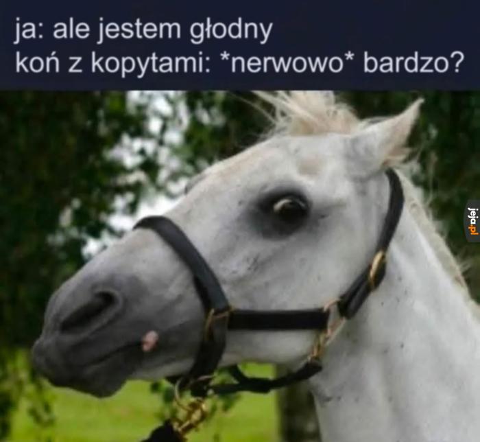 Jak bardzo?