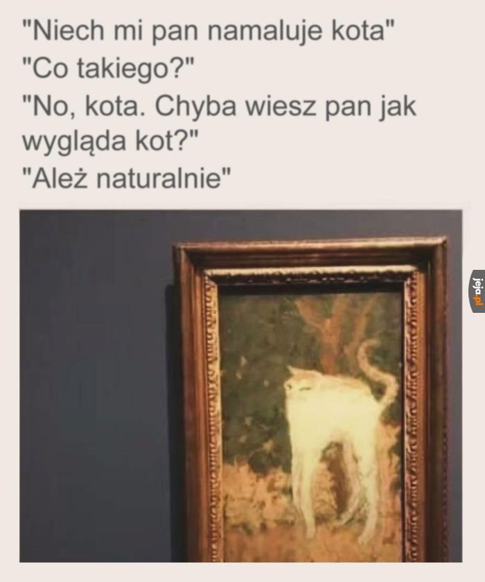 Jaki jest kot każdy widzi