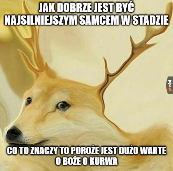 O nie!