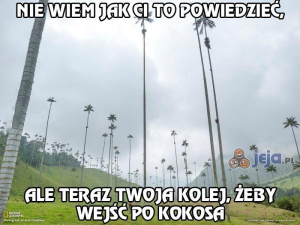 No weź, skocz po jednego