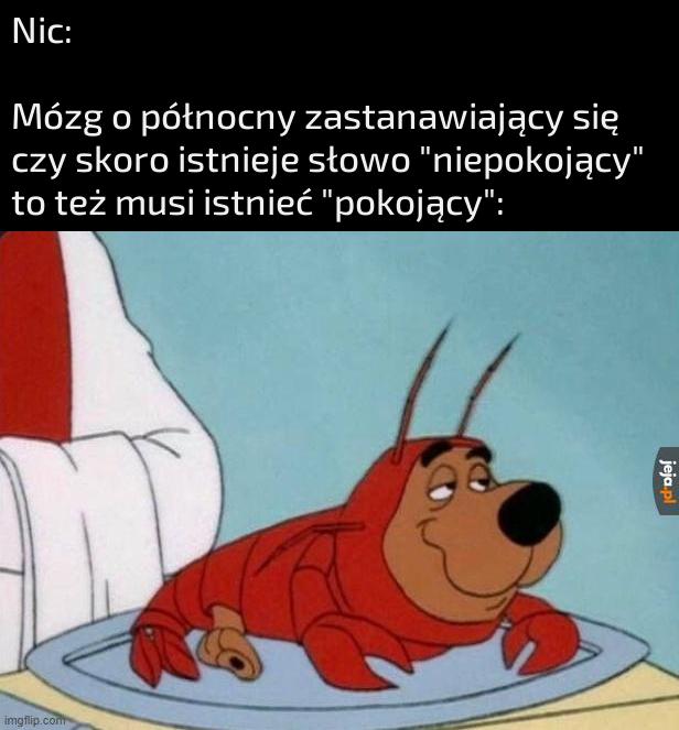 A miałem iść spać