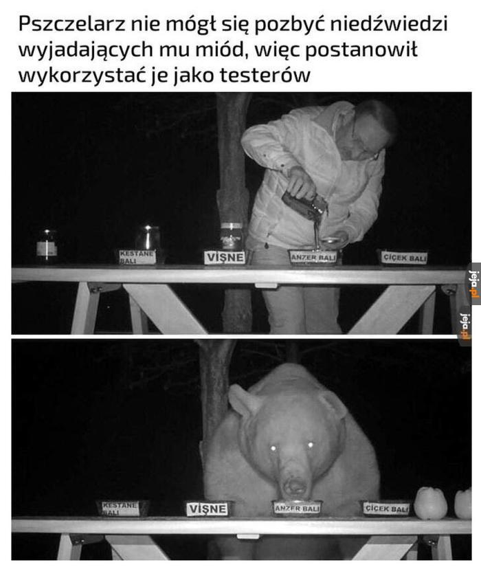 Fachowa ekspertyza