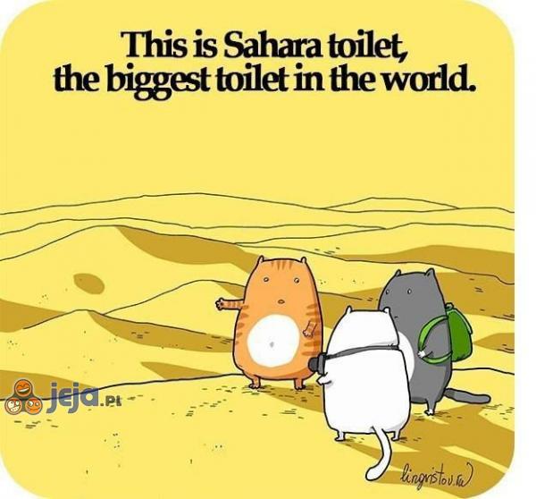 Sahara toilet