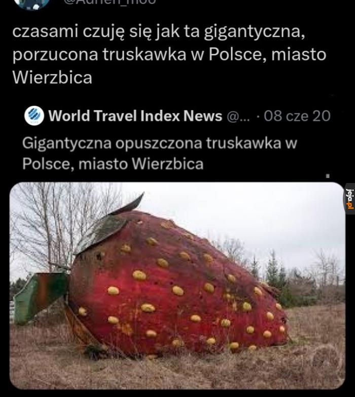 Dowiedziała Się, Co Się Stało Pod Legnicą   Jejapl