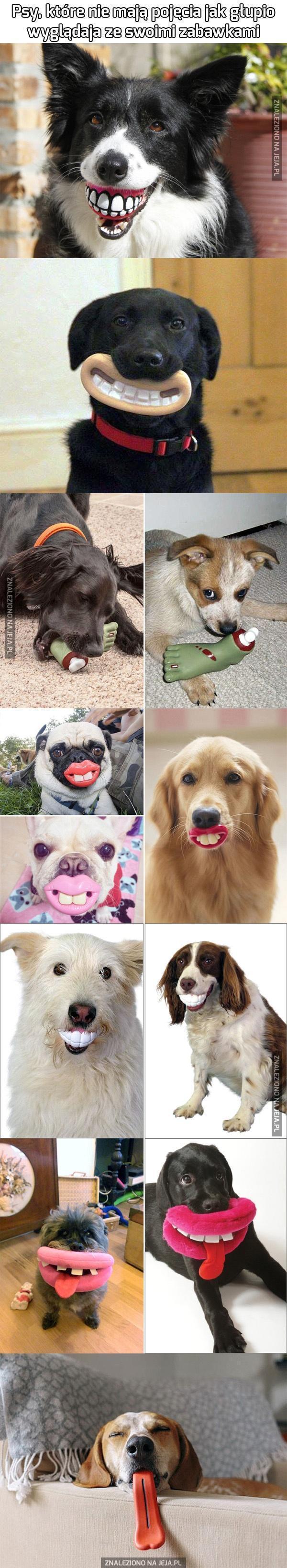 Psy, które nie mają pojęcia jak głupio wyglądają ze swoimi zabawkami cz.2