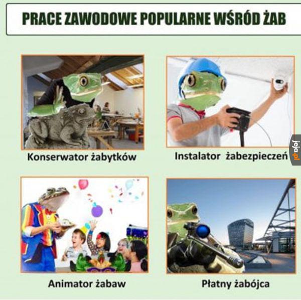 Pracowite żaby