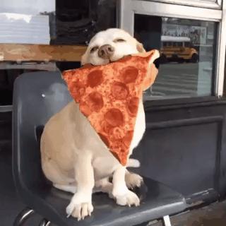 Gdy zamówiona pizza w końcu przyjedzie...