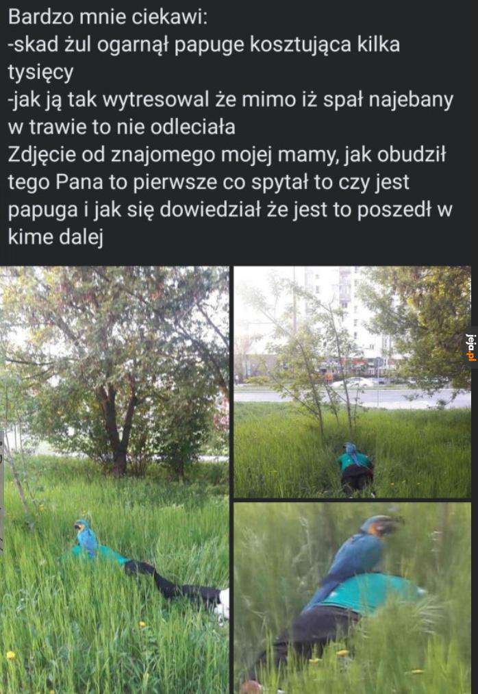 Tak wiele pytań