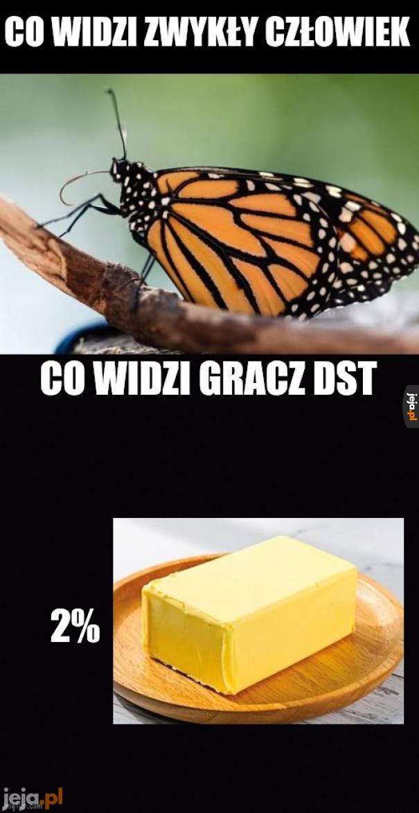 Motylek