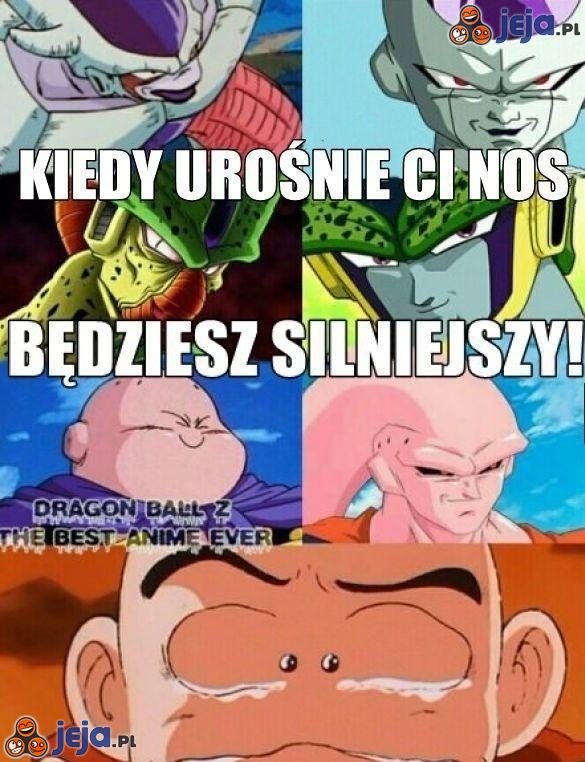 Pogódź się z tym Krilin