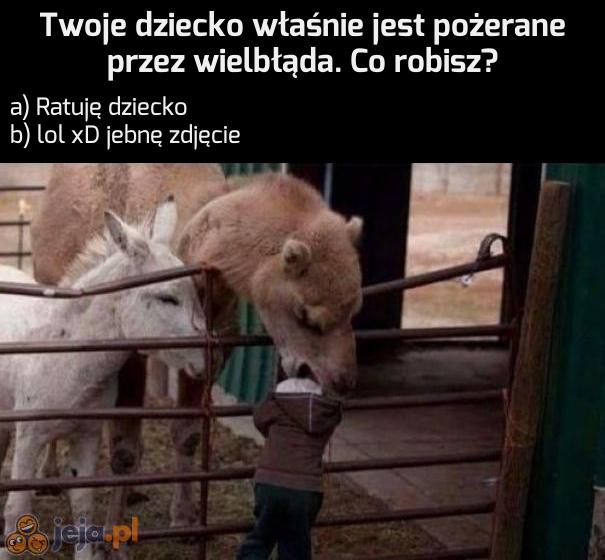 Świadome i odpowiedzialne rodzicielstwo
