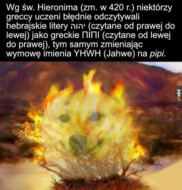 Dlatego Ziemia to taka pipidówa