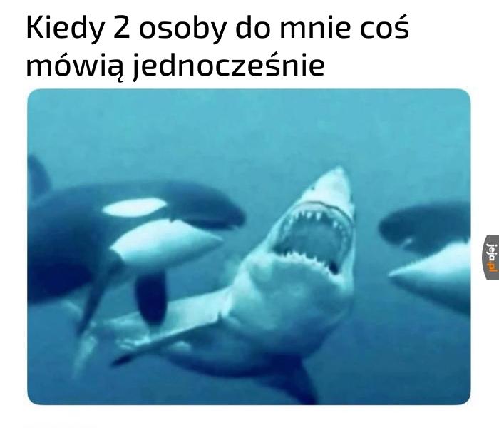 Nie rozumiem absolutnie nic