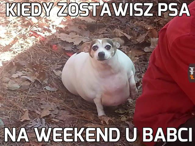 Babcia przekazała mu złe geny