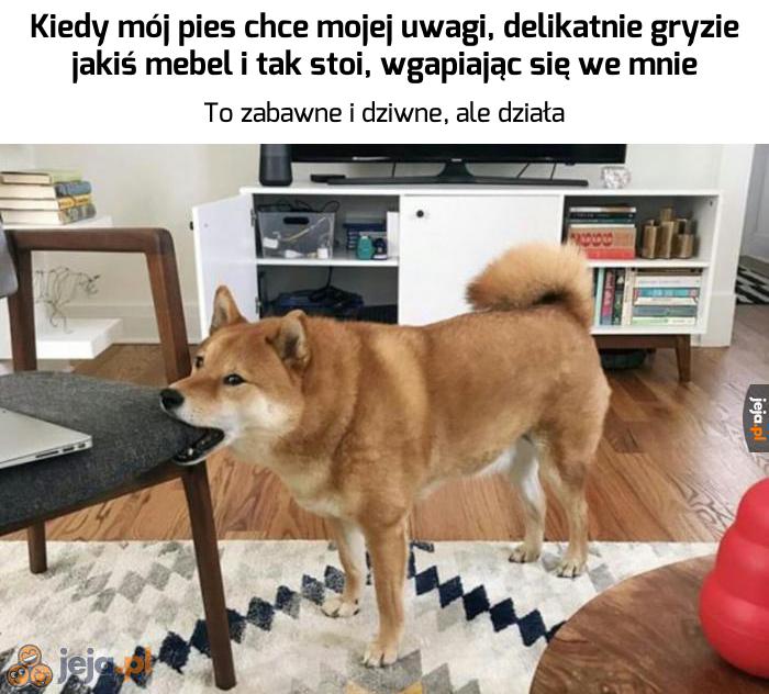 Takie tam nasze rytuały