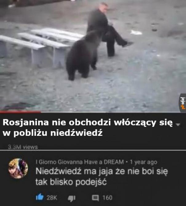 Niedźwiedź lubi ryzyko