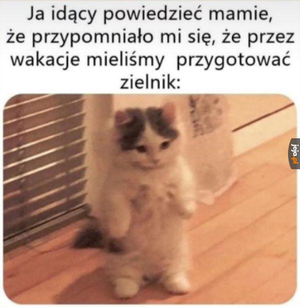 Jutro pierwsza biologia, więc to idealny moment
