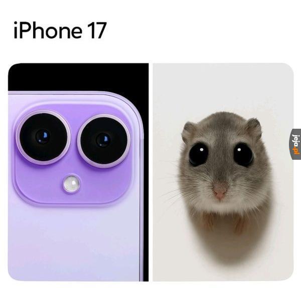 Widoczna inspiracja
