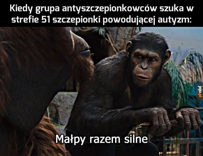Dużo chyba nie znajdą...