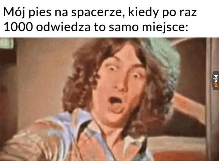 ŁOOO