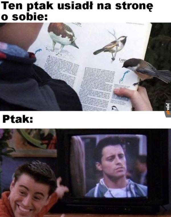 To przecież ja!