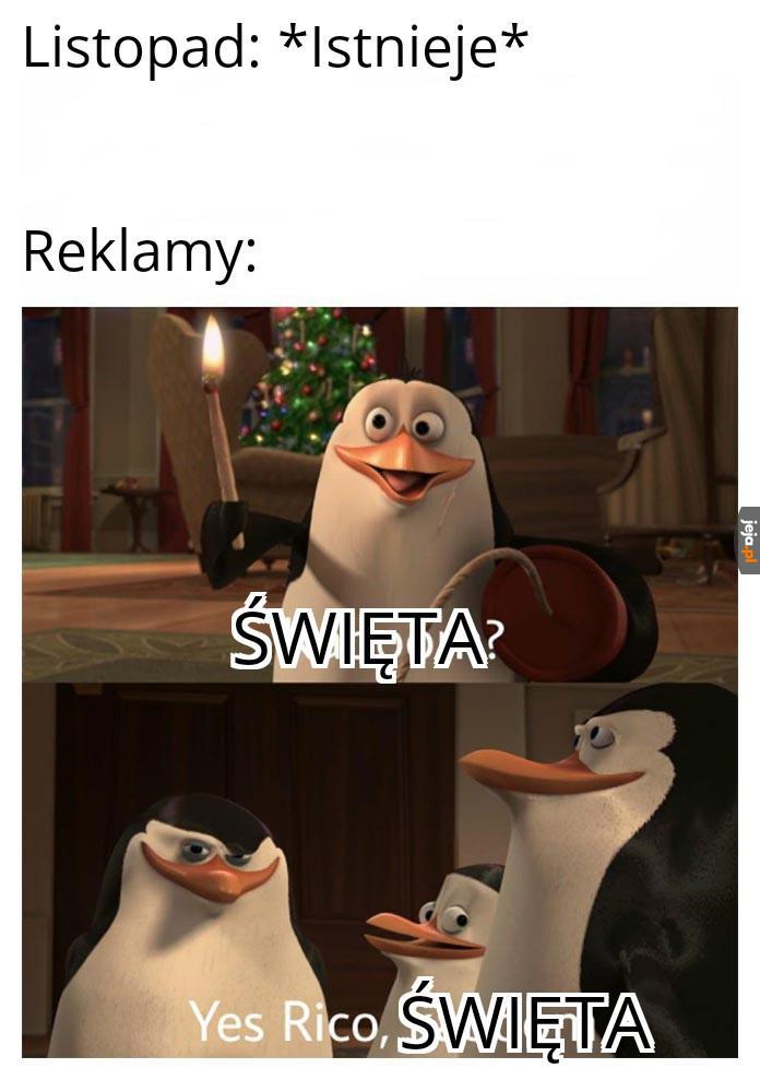 Gotowi?