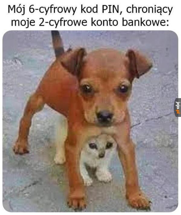 Stara się
