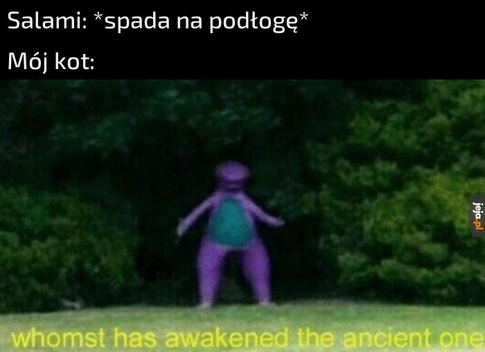 Ale karma miski to już be