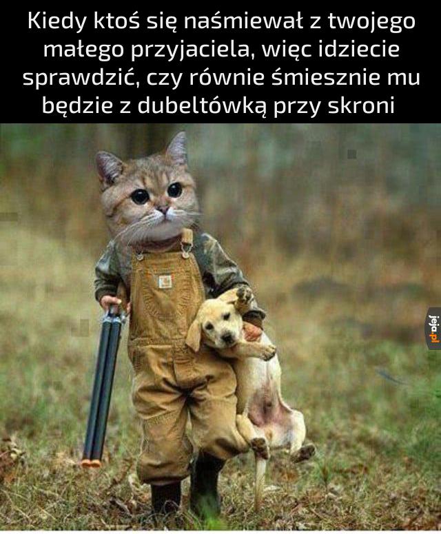 Zaraz się przekonamy