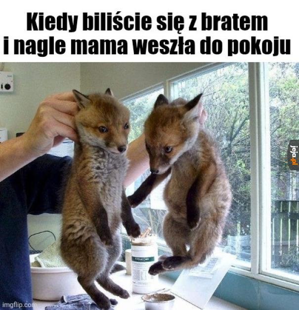 Szlaban na komputer gwarantowany