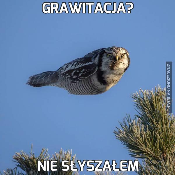 Grawitacja?