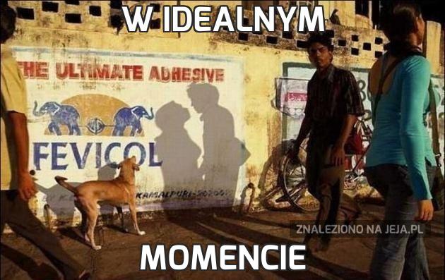 W idealnym