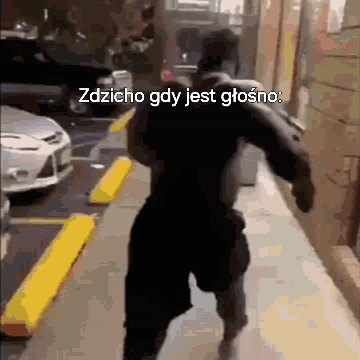 Zdzicho posting