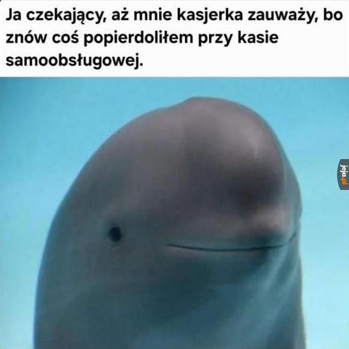 Pomocy
