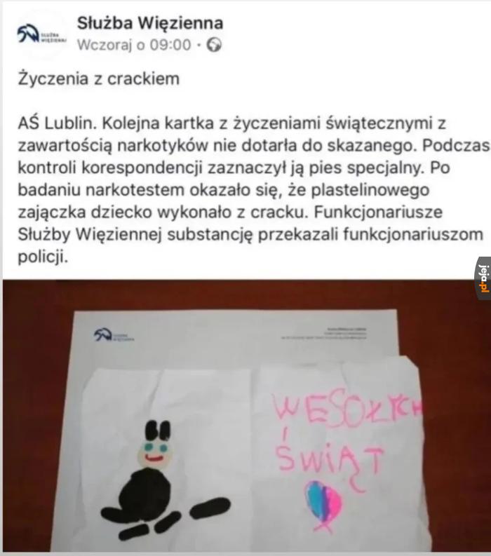 Spryciarze.pl