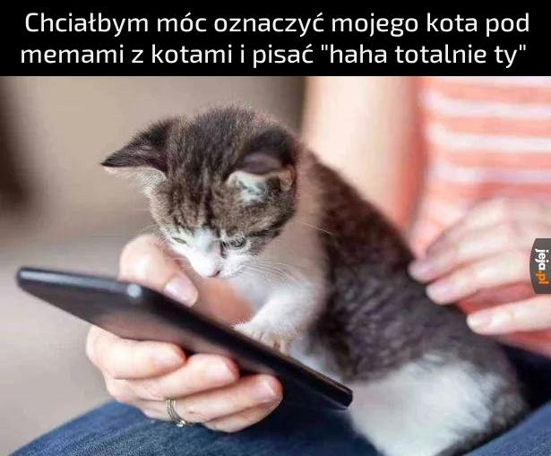 Słodziak