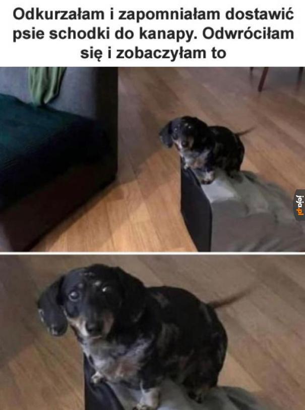 I ty Brutusie przeciwko mnie?