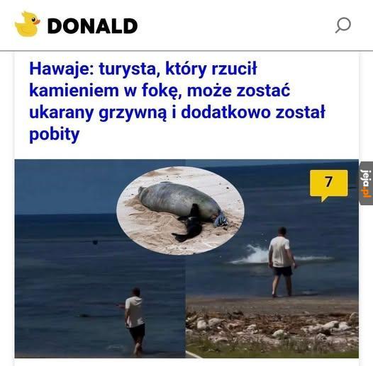 Wiecie co z nim zrobić